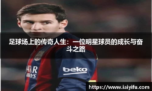 乐竞体育网址